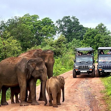 Jungle Lodge ウダワラウェ エクステリア 写真